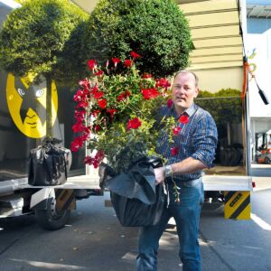 Gewerbeausstellung Beromünster, Gärtnerei Steiger, Lukas Steiger dekoriert